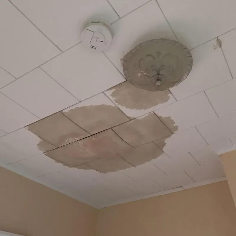 Ceiling Water Damage Repair in Hinsdale County, CO