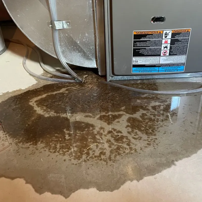 Pipe Burst and Leak Restoration in Hinsdale County, CO