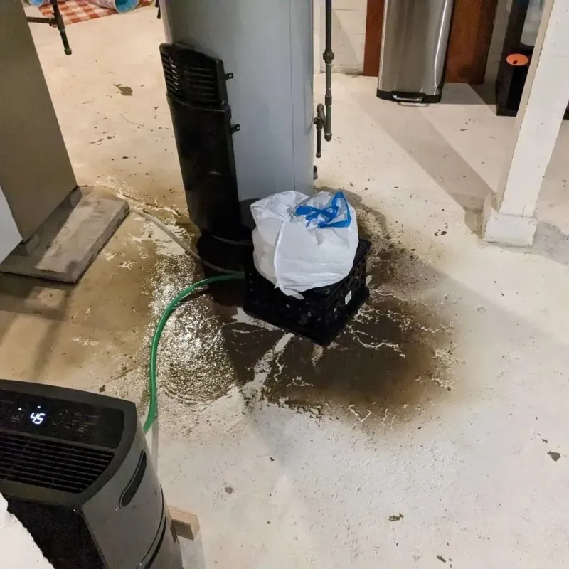 Sewage Backup Cleanup Service in Hinsdale County, CO
